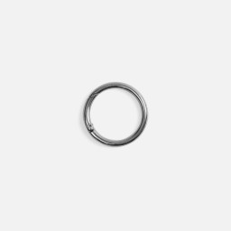 Карабин-кольцо Claus, L, серебристый