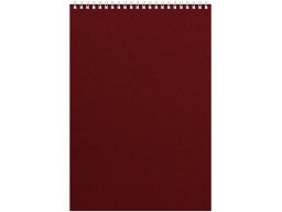 Бизнес - блокнот Альт А4 (198 х 285 мм) "Office" 60 л., бордовый