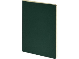 Бизнес-тетрадь А4 "Pragmatic",  40л., клетка, зеленый