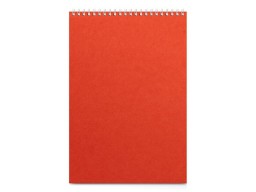 Бизнес - блокнот А4 (198 х 285 мм) "Office" 60 л., оранжевый