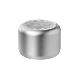 Беспроводная колонка Passion 80dB 600 mAh (Bluetooth 5.4), серебряная