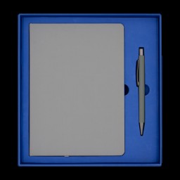 Набор Bplanner Business 01, серый с синим